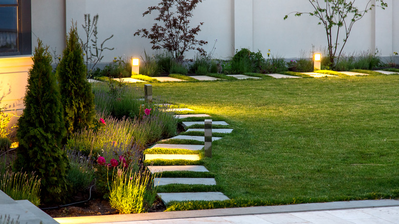 stone path with solar lights