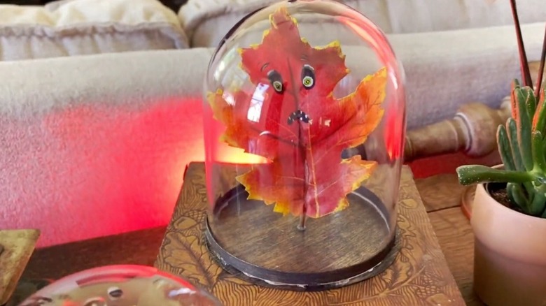 Leaf with a scared expression inside a glass cloche