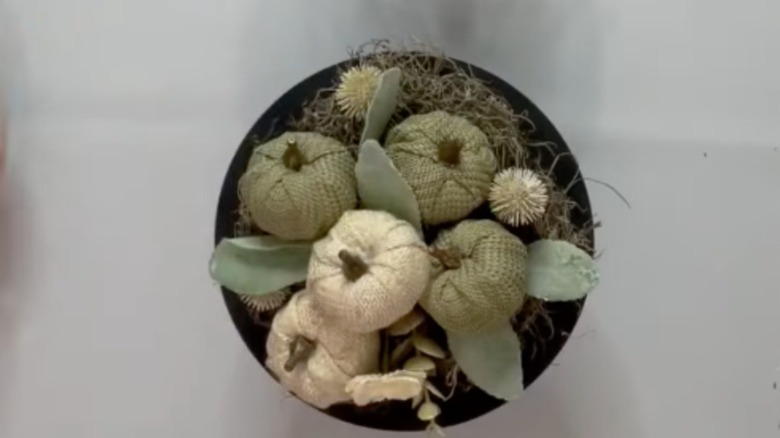 Fabric pumpkins in a DIY cloche display