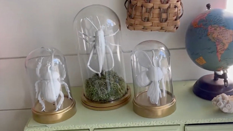 Three glass cloche with oversized white bugs on display