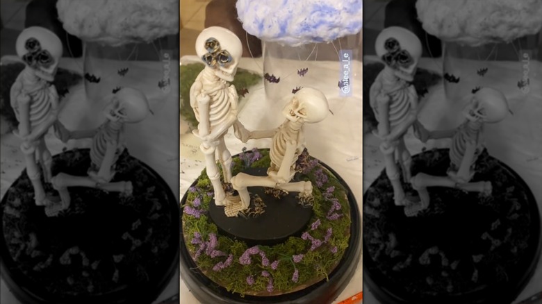Proposing skeleton cloche display