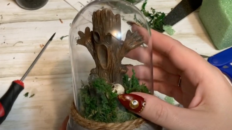 Tree with a scared face glass cloche