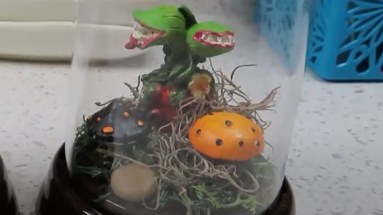 Tiny venus fly trap in a glass cloche