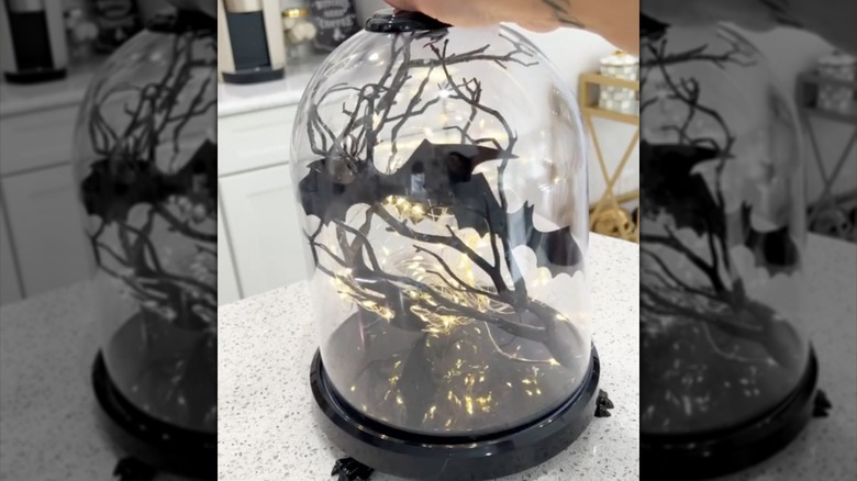 Bats and string lights in a glass cloche