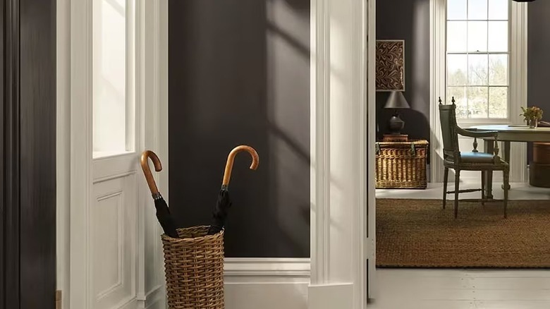 A modern entryway with dark brown walls.