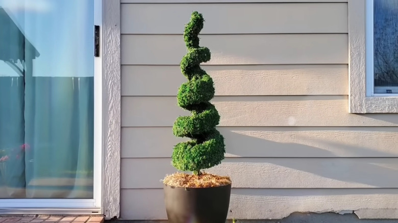 Spiral moss-covered topiary made from a pool noodle