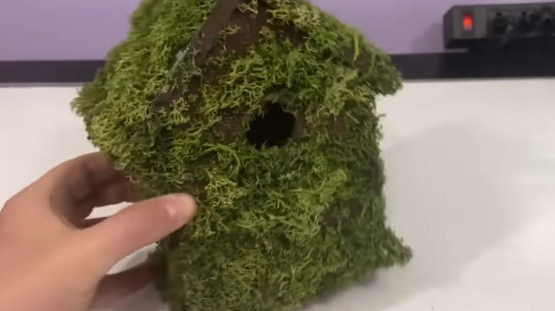 Hand holding moss-covered birdhouse on craft table