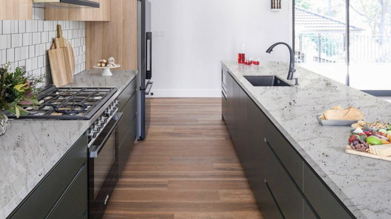 Modern kitchen with Andromeda White granite countertops