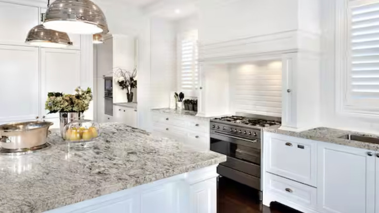Modern kitchen with Bianco Antico granite countertops
