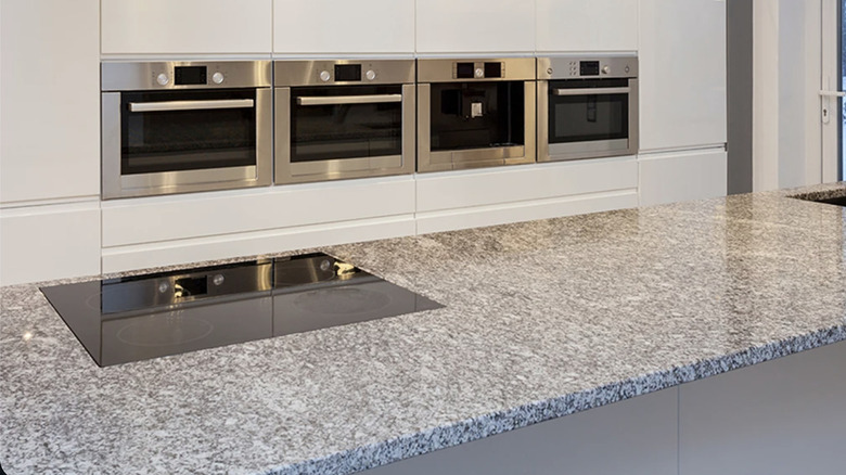 Modern kitchen with Meera White granite countertops