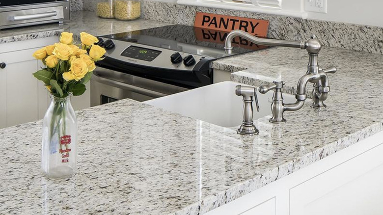 Modern kitchen with White Ornamental granite countertops