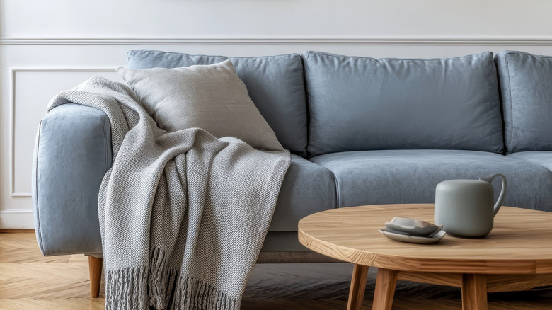 Throw blanket on couch