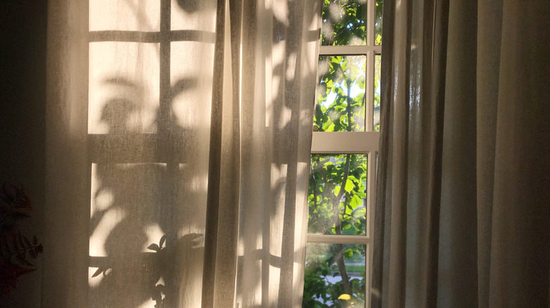 White sheer curtains hanging on window