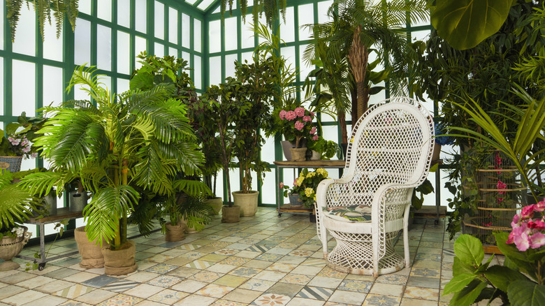 conservatory with wicker chair