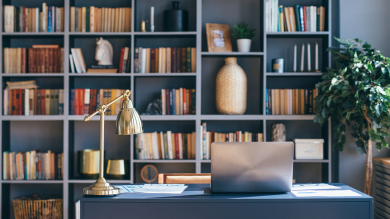 bookshelves behind desk