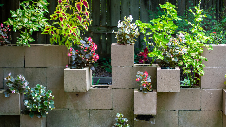 cinder block fence with plants