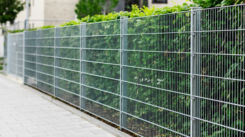 Mesh grid fence along sidewalk