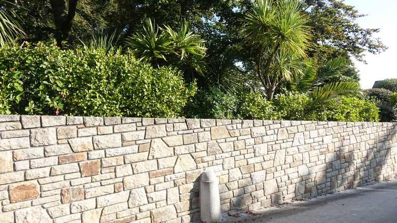 stone fence along road
