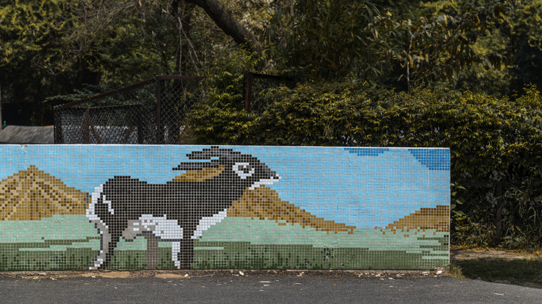 mosaic fence along driveway