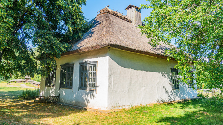 A cozy cottage-style house with a patchy garden and few plants.