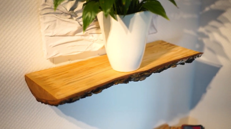 Potted plant on a wall shelf made from a tree stump