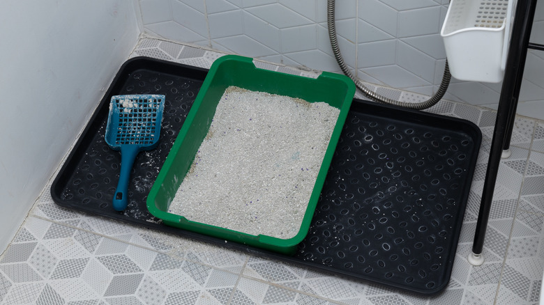 A green litter box on a black tray in a bathroom.