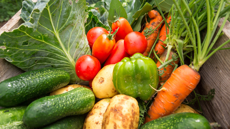Cucumbers, peppers, tomatoes, and potatoes thrown together in a box from a garden