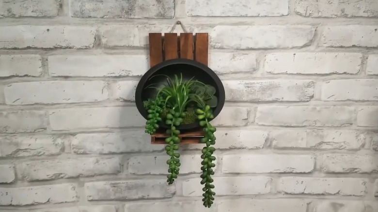 Wall-mounted mini plant display with wood pallets and a sideways pot