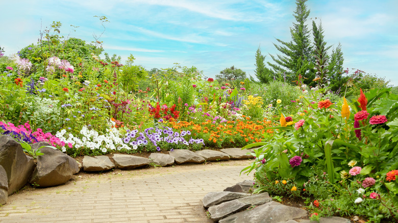 Colorful garden in the sun