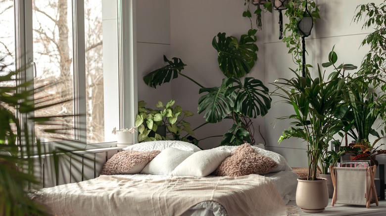 A bedroom full of houseplants.