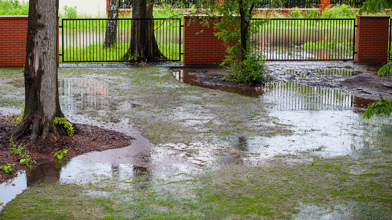Part of a residential backyard filled with water after a rain storm.