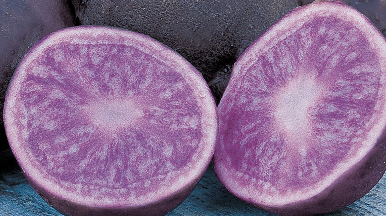 'All Blue' potatoes stacked on a table outside with one cut in half