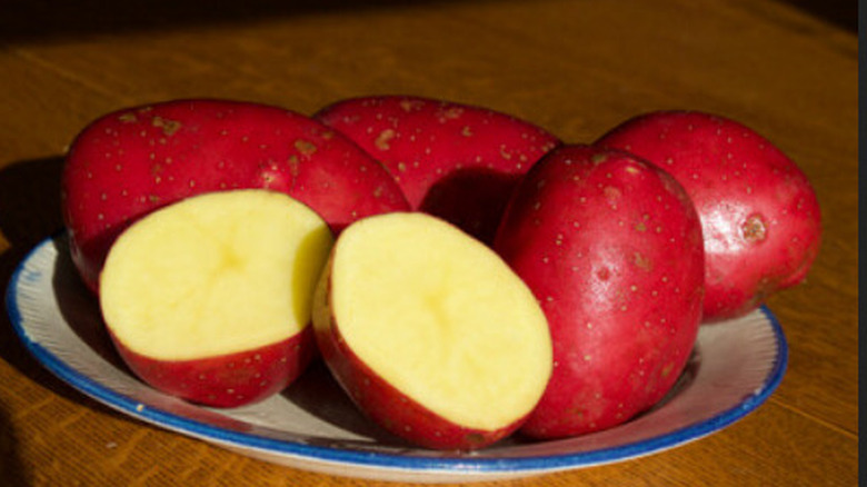 'Baltic Rose' Potatoes on a white and blue plate on a wooden table