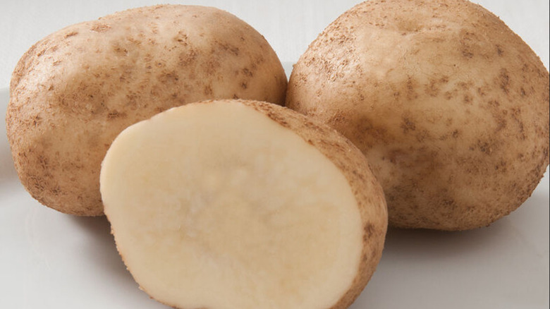 Three 'Elba' potatoes with the one in the front cut in half on a white background