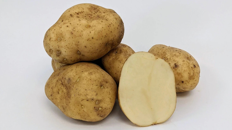 6 'Green Mountain' potatoes on a white background with one in the front cut in half