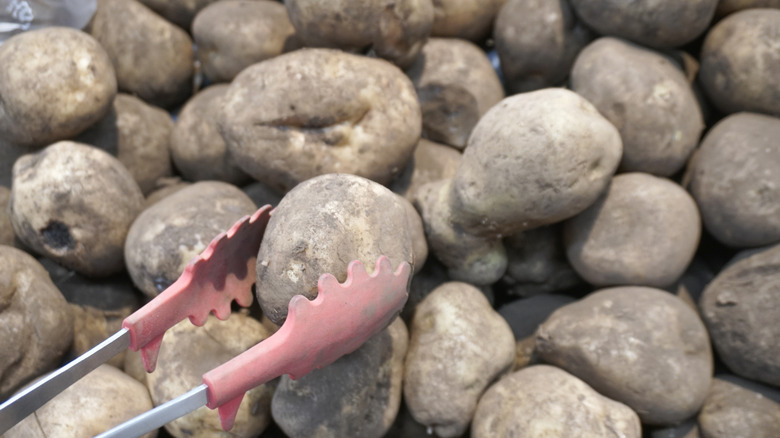 A stack of 'Irish Cobbler' potatoes with red tongs grabbing one away from the rest