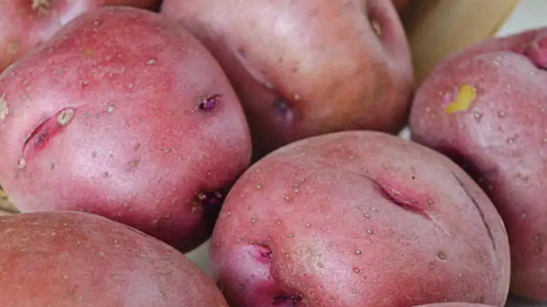 A close up of 'Red Pontiac' potatoes in a basket