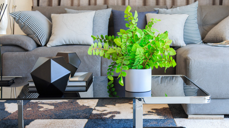 A green fake plant in a white planter on coffee table.
