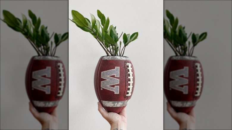 A small football made into planter for a houseplant.