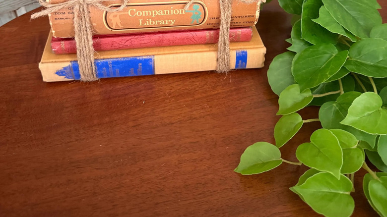 Three hardcover books wrapped with twine and made into a planter.