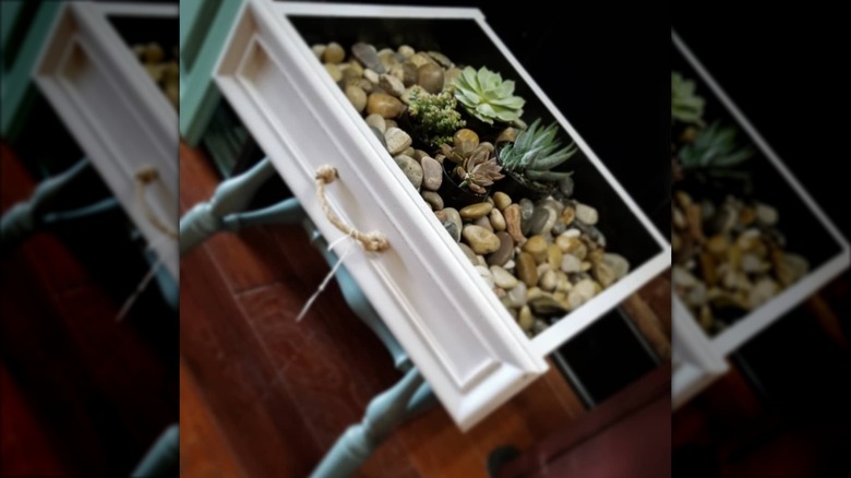 An old dresser drawer made into tabletop planter.