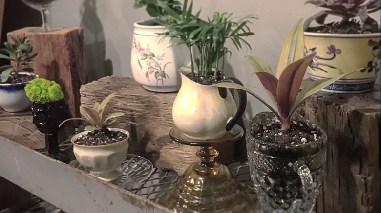 A set of painted stemmed glassware planters arranged on a mantle.