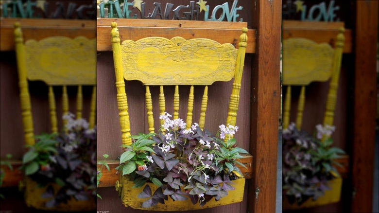 A vintage yellow-painted chair with a plants growing on it.