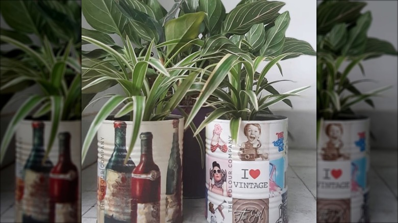 Two decoupaged tin cans filled with plants.