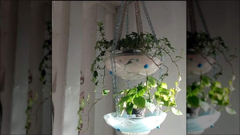 Vintage glass light fixtures made into hanging planters.
