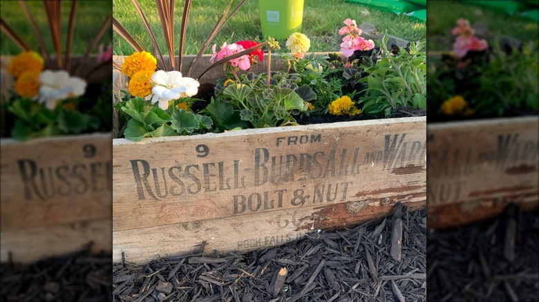 A wooden crate used as planter box for flowering plants and grasses.