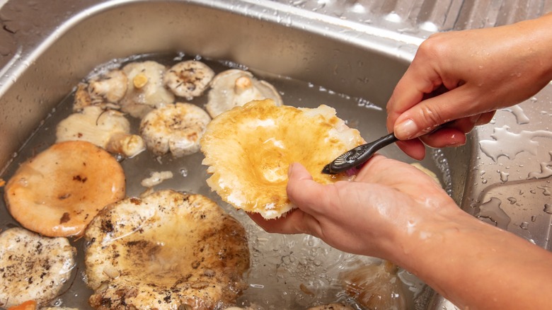 person cleaning mushroom with toothbrush