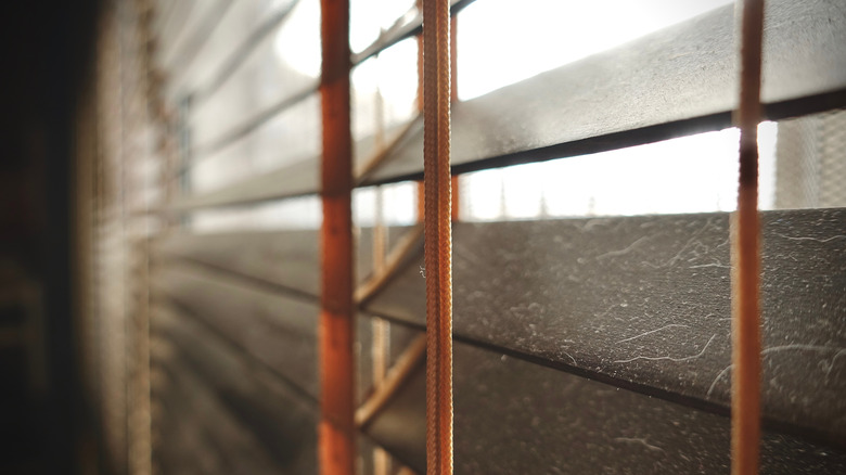 dusty window blinds