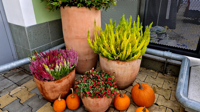 a container garden can be used to hide electrical outlets from view