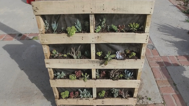 a vertical garden made from a salvaged pallet